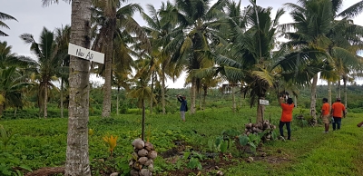 CGB Samoa_opt
