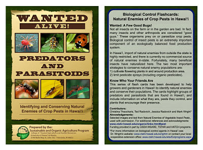 WantedAliveCard_opt